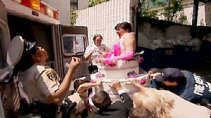 Watch Reno 911! Season 4 Episode 14 - Dangle's Wedding