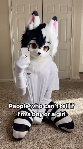 Miki Wolf on Instagram: "u will never know… #furry #fursuit #furryfandom #furrycommunity #fursuit #furryart #kemono #kemonofursuit"