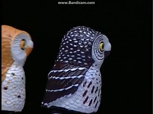 Baby Beethoven Chinese Marching Owls