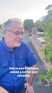 Leycesteria formosa, or pheasant berry partridge berry or Himalayan honeysuckle #gardening #plants #berries | Dave The Plantman