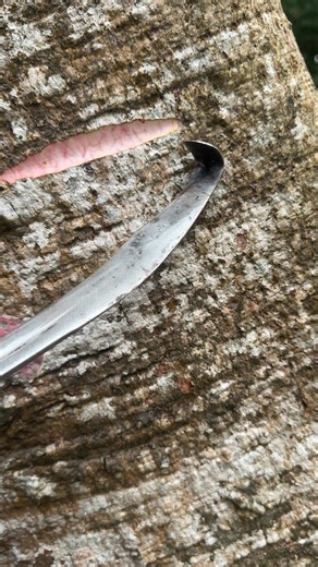 tree cutting (@tree.cutting29)’s videos with original sound - tree cutting