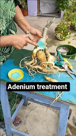 Its detailed video will be coming soon on my YouTube channel. Stay tuned.