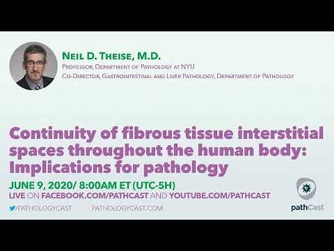 Continuity of fibrous tissue interstitial spaces throughout the human body - Dr. Theise (NYU)