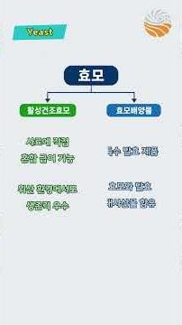 생균제, 효모, 효모배양물 대체 뭐가 다를까? 80초 완벽 정리!