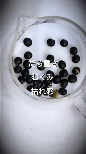 黒豆でコツコツ養生‼︎ #薬膳 #中医学 #東洋医学