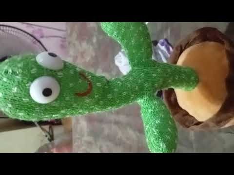 Cactus singing alphabet