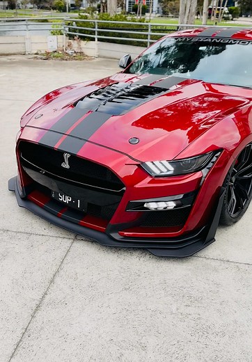 #foryoupage #viral #australia #trending #melbourne #ford #gt500shelby #americanmuscle #s650 #americanmuscle