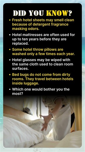 The Truth About Hotel Room Cleaning