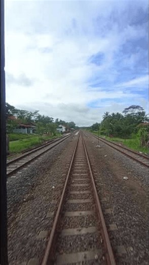 clip-4030702813-view-tracks-receding-back-train