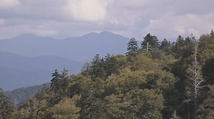 Scientists across the U.S. study impact of climate change on mountains like the Smokies