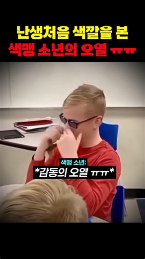 난생처음 색깔을 본 색맹 소년의 오열 ㅠㅠ