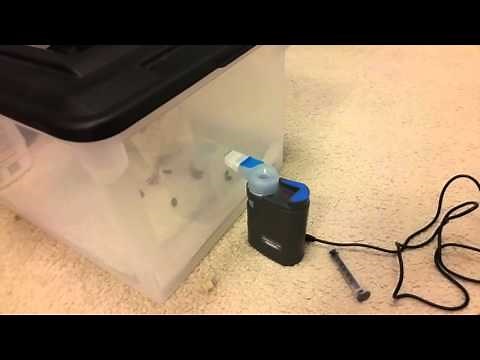 Nebulizer treatments for a pet rat