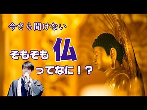 What is "Buddha"? Buddhist Terminology Series: From the Perspective of Jodo Shinshu