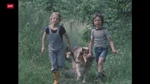 Wie lässig ist Lassie? (1978)