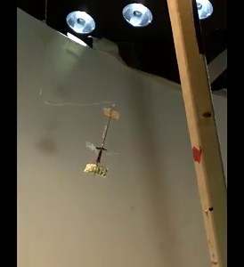 8.6K views · 41 shares | Sustained flight of an untethered flying-insect-inspired robot is demonstrated in a paper in Nature. The small robot is less than 5 cm long, weighs just 259 mg, and might be useful for environmental monitoring or navigation in confined spaces. Read the paper: https://go.nature.com/2X3KhS5 | Nature Portfolio | Facebook