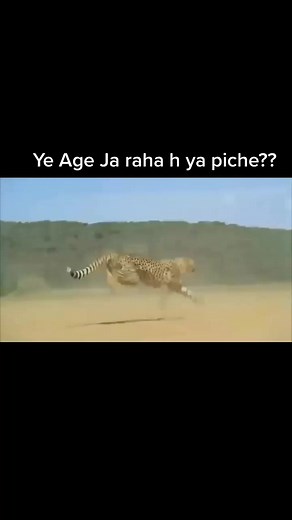 Running forward or backward ??@tiktok_india @tiktok #tiktokindia