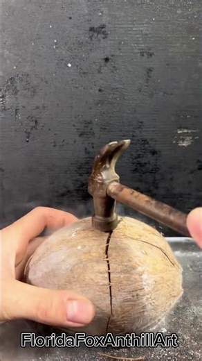 What Happens When Grapes Meet Liquid Nitrogen? 🧊🍇