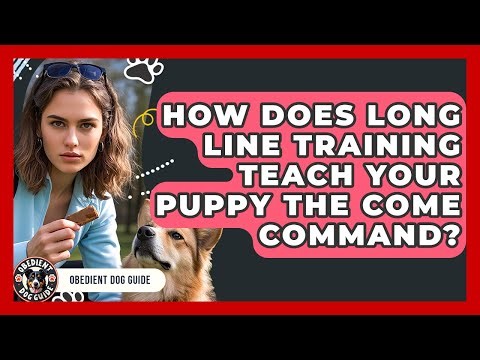 How Does Long Line Training Teach Your Puppy The Come Command? - Obedient Dog Guide