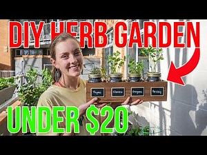 $18 DIY Mini Herb Garden
