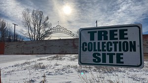 Fire dept. warns of Christmas tree fires