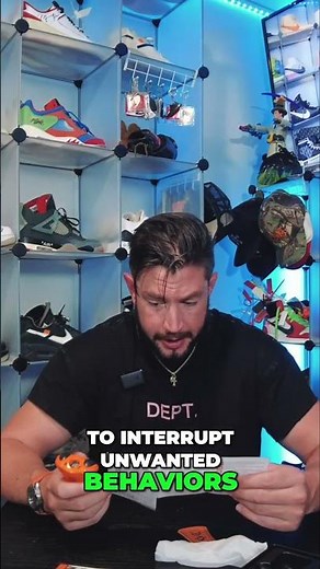 Dog Training: Ultrasonic, Whistle & Flashlight Guide #shorts