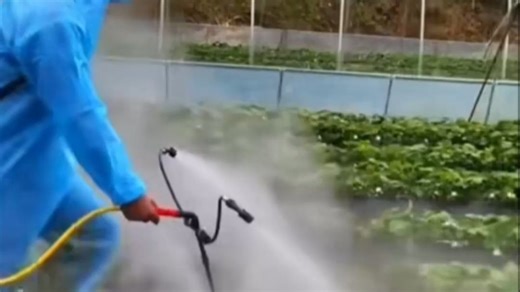 水果新政要求“一果一码”？这套溯源系统你用了吗