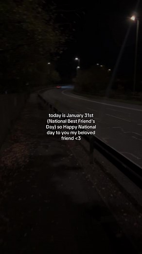 Daniel (@danielonthescreen)’s video of national best friend day