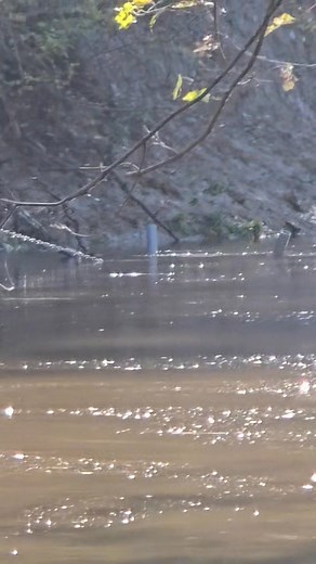 We have the trailer up. Caspers 24 Hour Roadside Tire Service | William Ray Burns