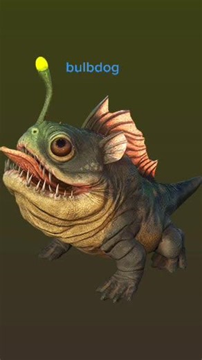 Bulbdog na TikTok