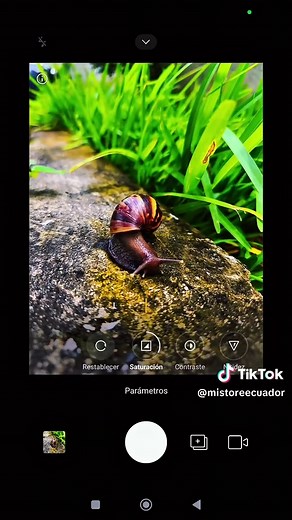 Captura Fotos Increíbles con el Redmi Note 14 Pro 5G