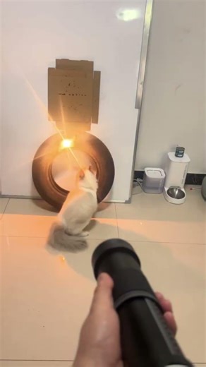 120W High Power Laser vs Rubber Tire (Extreme Melt Test / Rubber Melting / Heat Stress Test)