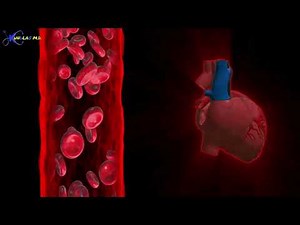 How The Blood Pressure Mechanism Works: systolic and diastolic blood pressure #bp