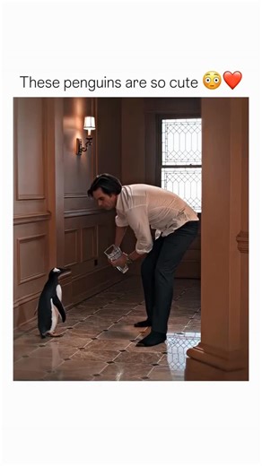 @laughing_shop_17 on Instagram: "🎬Mr. Popper's Penguins (2011): In bustling New York City, ambitious businessman Tom Popper unexpectedly inherits six lively penguins from his late explorer father, upending his structured, orderly life. As he struggles to manage work, his children, and the penguins' hilarious, mischievous antics, Tom discovers unexpected joy and chaos in his apartment. With the help of his playful feathered friends, he reconnects with his children, learns to embrace fun and fami