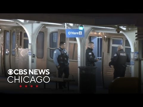 Man killed by CTA train after falling ono the tracks on Chicago's South Side