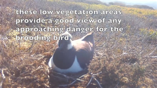 Real Springwatch 2025 - Episode 5