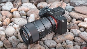 A Review of the Sony FE 90mm f/2.8 Macro G OSS Lens