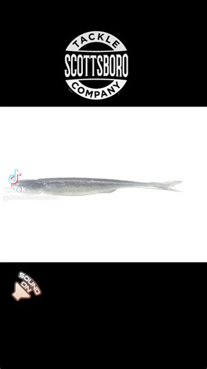 The Reaction Innovations Shiver Glide🔥 Stop in Scottsboro Tackle Company and check out the lineup. #scottsborotacklecompany #scottsborotackleco #lakeguntersville #tackleshop #fishing #largemouthbass #smallmouthbass #bassnation | Scottsboro Tackle Company
