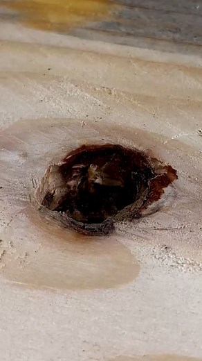 Smart trick for wood hole fix #diy #wood #holefix | Garden & Home Lab