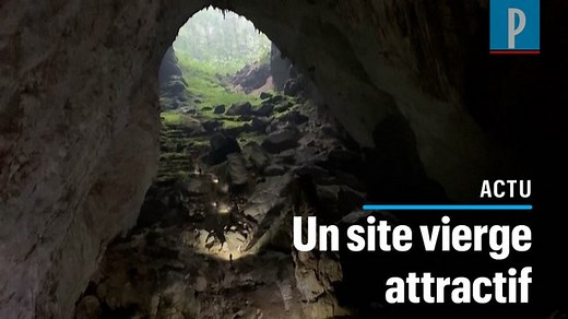 VIDÉO. Vietnam : Son Doong, la plus grande grotte du monde menacée
