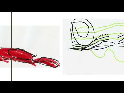 Eucalypt Graphic Score ELC