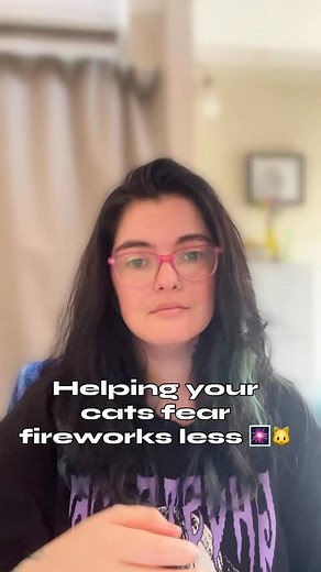 3 comments | Does your cat disappear the moment fireworks start? ...