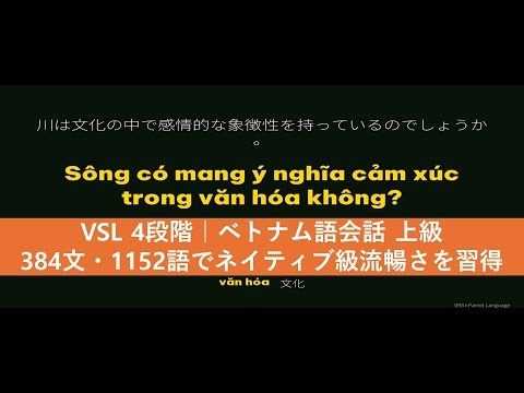 VSL 4段階｜ベトナム語会話 上級 384文・1152語でネイティブ級流暢さを習得 – Parrot Language