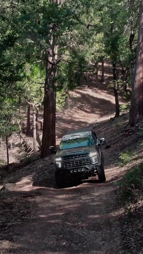 Truck Physics 101: defying gravity with every curve. | BDS Suspension