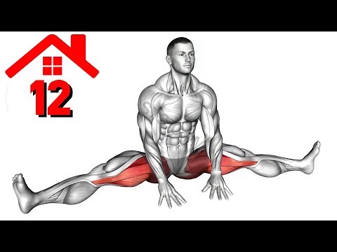 The Best Legs Exercises \\No Weights/