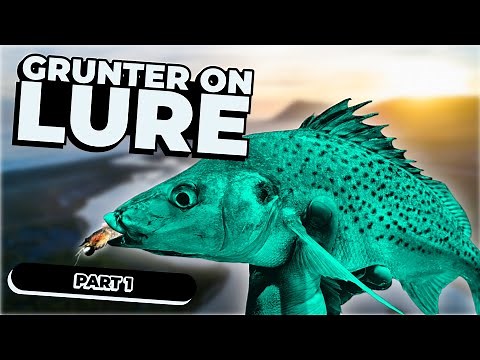 GRUNTER LURE Fishing Basics | Everything You Need to Know