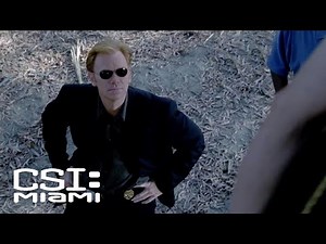 What Happened to the Professor?