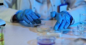 Scientist examines petri dishes with bacteria growing Stock Video