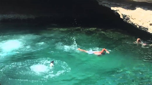 Dog dives off of a cliff.