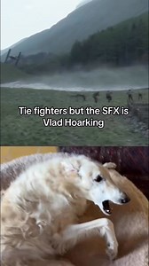 Vladimir Poopin’s official application to do foley on the next Star Wars #borzoi #dog #dogmemes #borzoimemes #weirdpets #hosegoat #funnydogs #skit | Esperborzoi