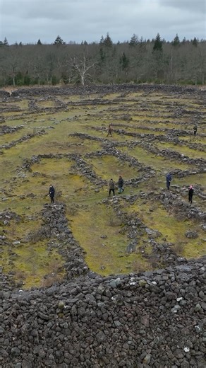 What can ancient forts tell us about human resilience? 🏰💪 🌍 On the island of Öland, off Sweden’s southeast coast, 16 Iron Age ring forts stand as silent witnesses to a turbulent past. These circular stone formations hold clues to how people once responded to crisis and change. 🌪️🦠 🔍 In an eight-year research project, archaeologists from Stockholm University, Linnaeus University, and Kalmar County Museum are exploring how these forts were built, used, abandoned, and sometimes reused between